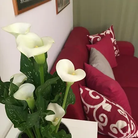 La Casa Del Giglio Vakantiehuis